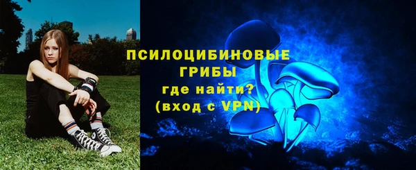 ешки Михайловск