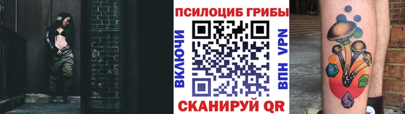 Галлюциногенные грибы ЛСД  как найти закладки  Черемхово 